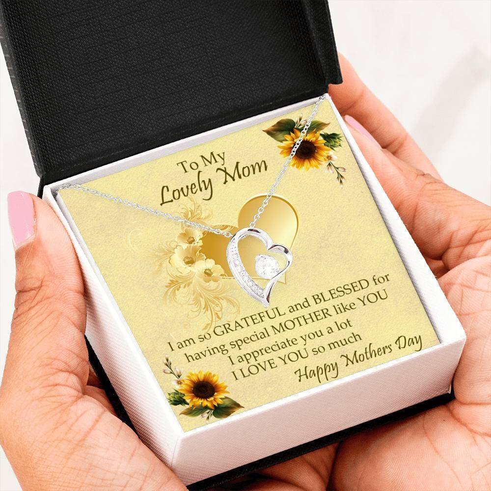 Blessed For Having Special Mother Forever Love Necklace For Mom