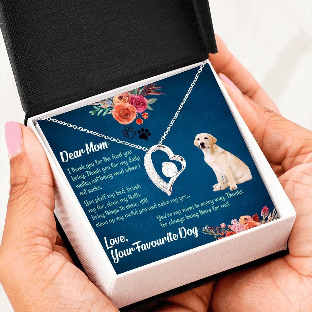 Labrador You're My Mom In Every Way Forever Love Necklace For Mom