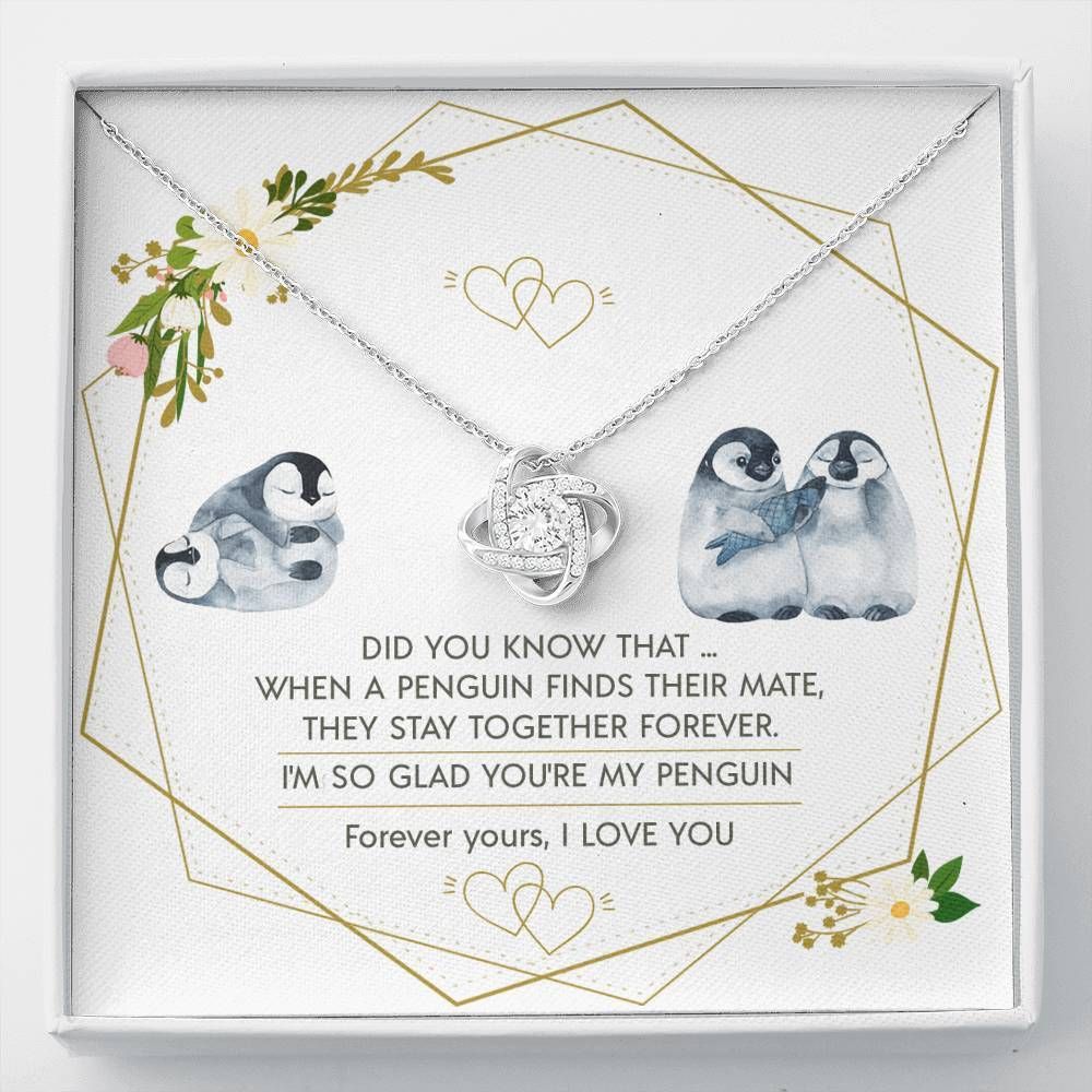 Love Card Gift For Girlfriend I'm So Glad You're My Penguin Love Knot Necklace
