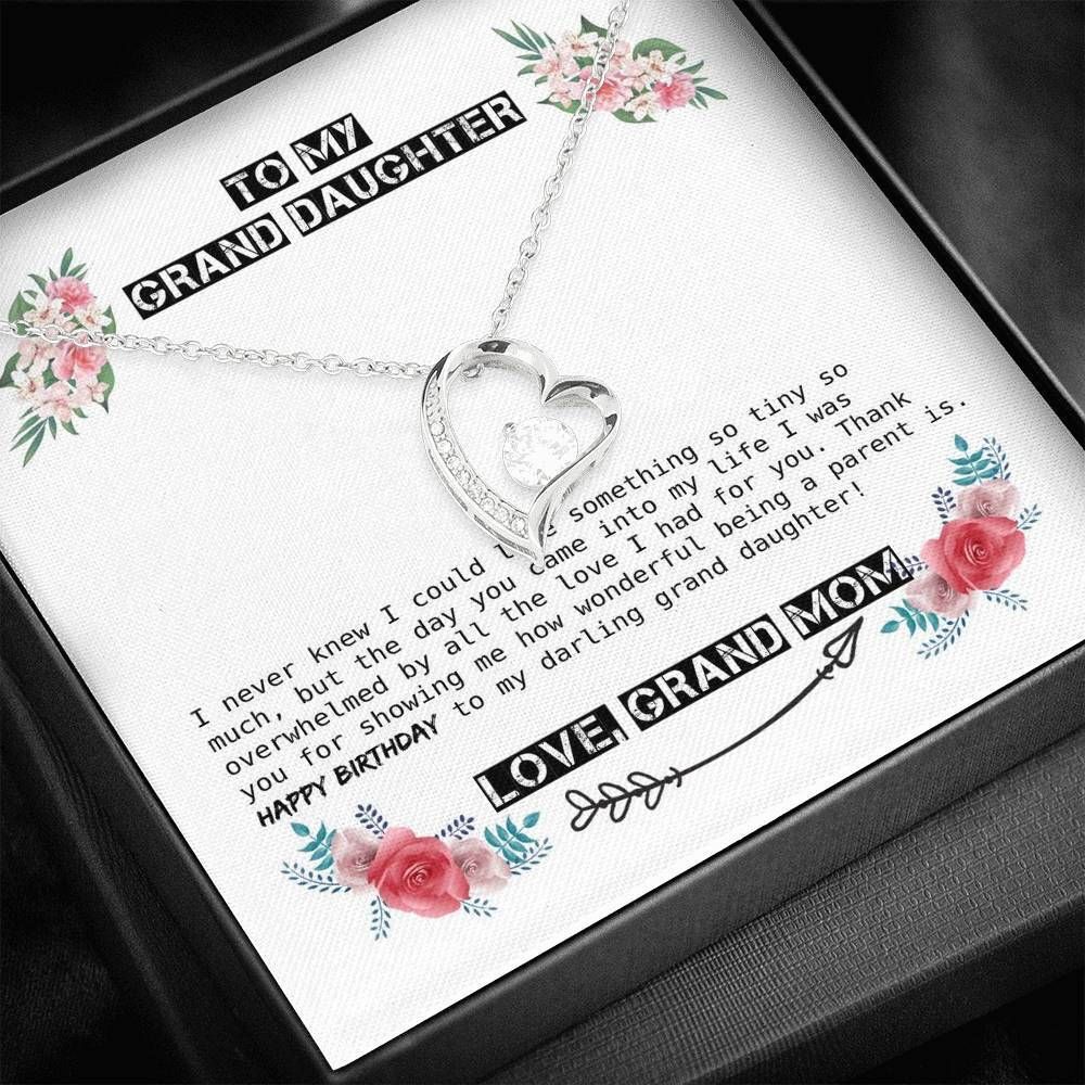 The Day You Came Into My Life Forever Love Necklace Gift For Granddaughter