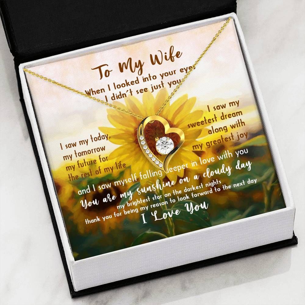 You Are My Sunshine On A Cloudy Day Gift For Wife Forever Love Necklace