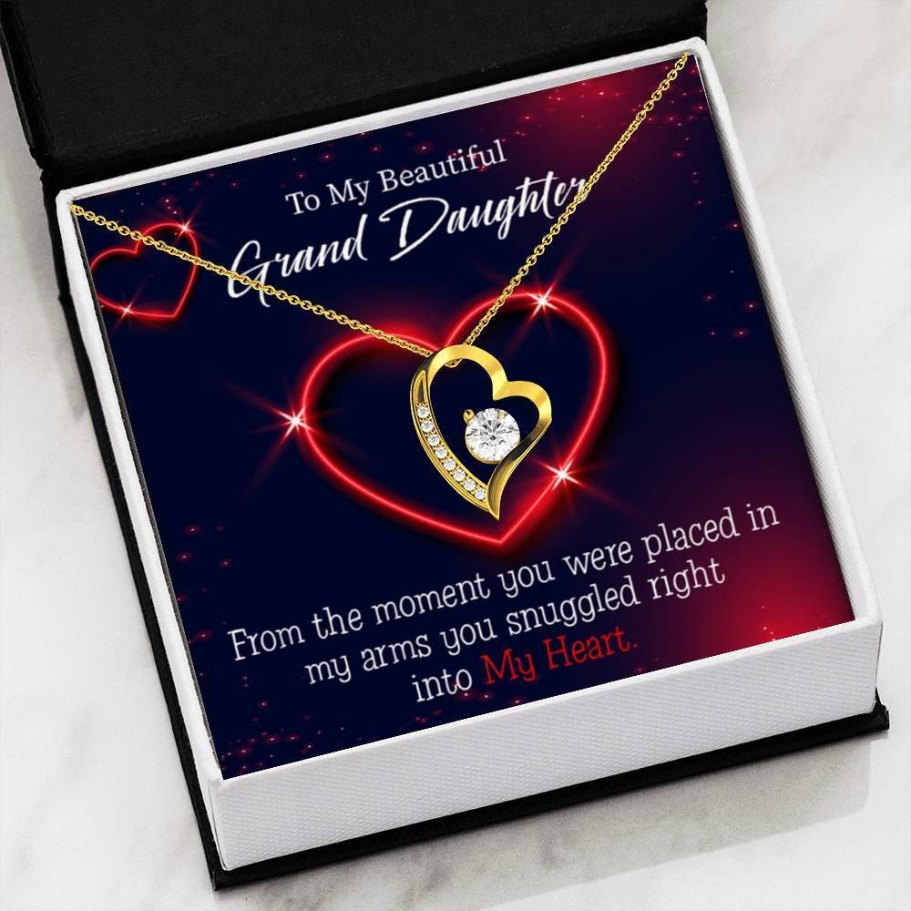 You Were Placed In My Arms Gift For Granddaughter 18K Gold Forever Love Necklace