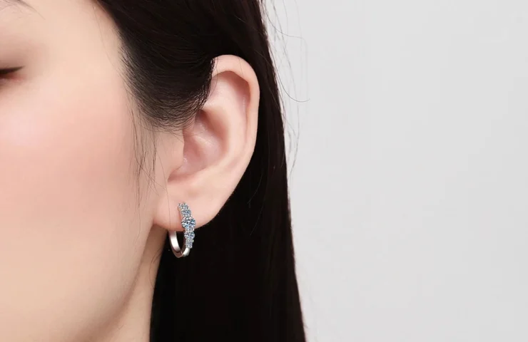 FVJ-EAR2510-001 (2)-2